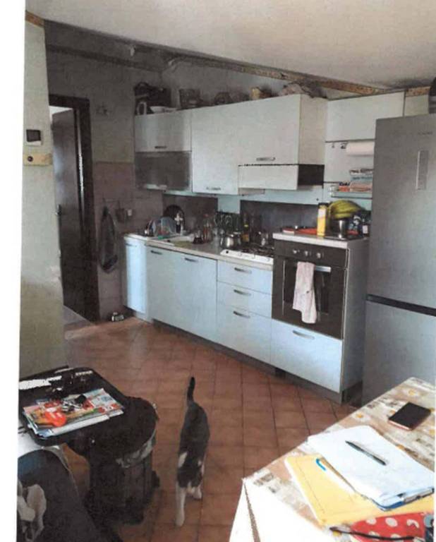 immagine annuncio 7 di 14