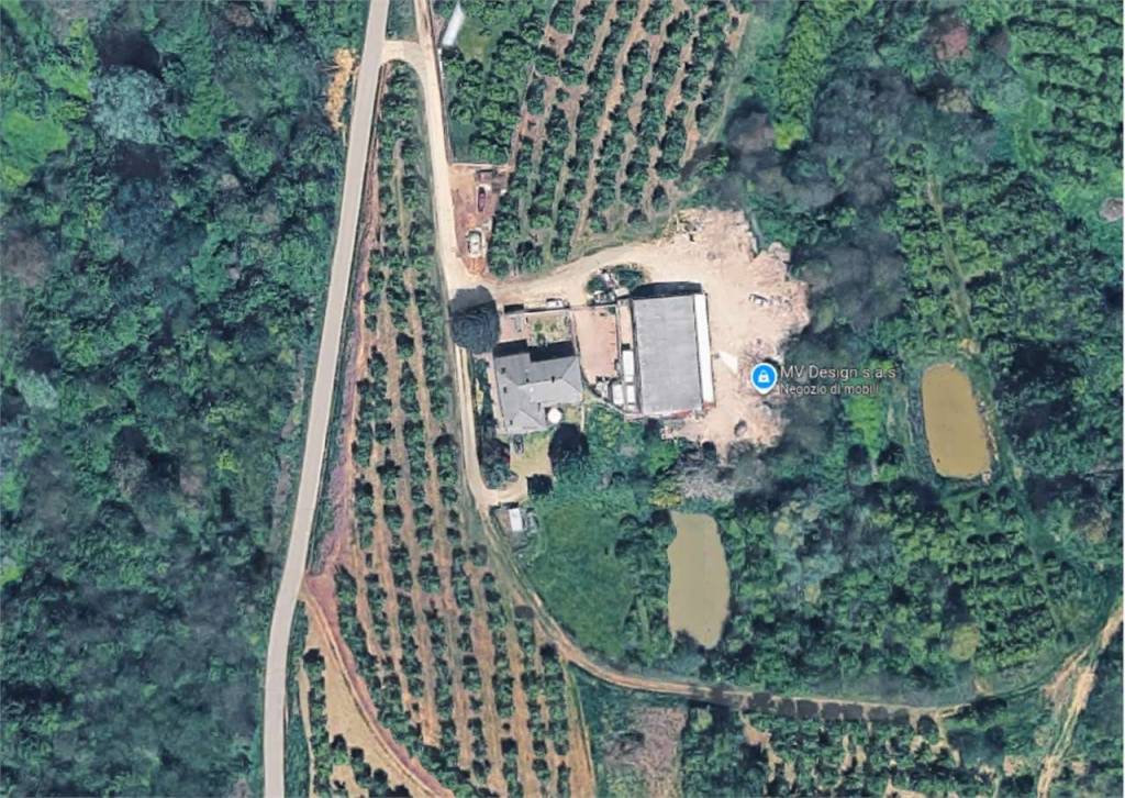 immagine annuncio 2 di 11