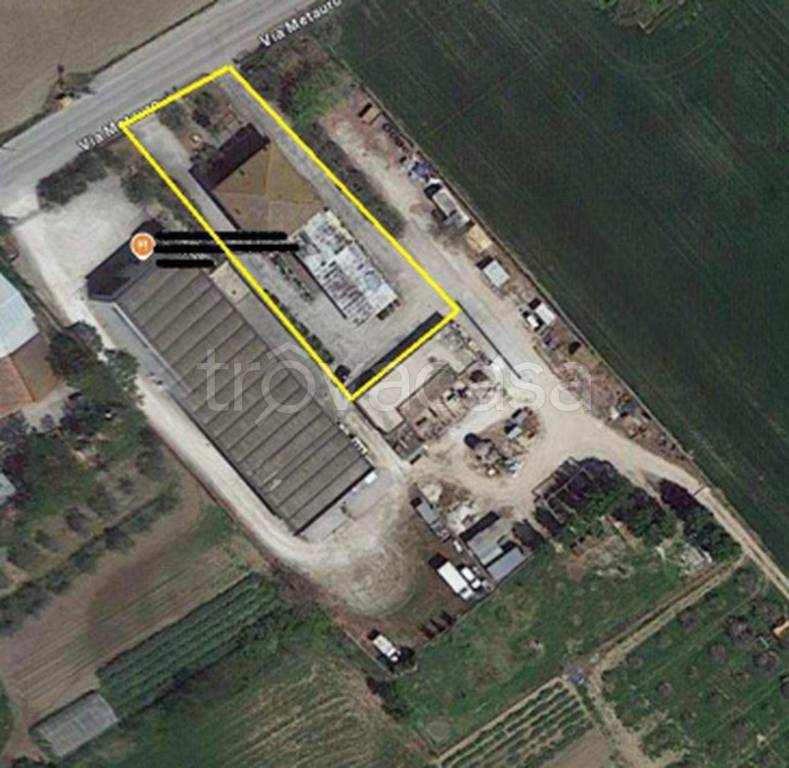 immagine annuncio 6 di 12