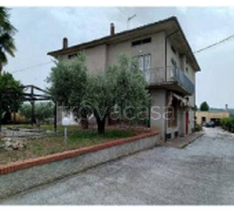 immagine annuncio 11 di 12