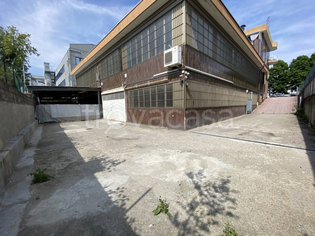 immagine annuncio 4 di 15