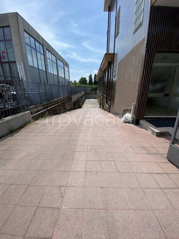 immagine annuncio 12 di 15