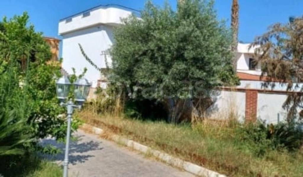 immagine annuncio 5 di 11