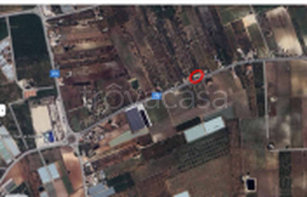 immagine annuncio 10 di 11