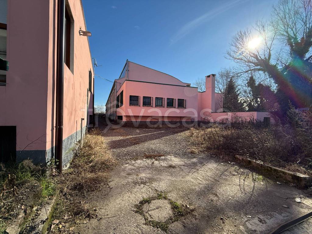 immagine annuncio 7 di 13