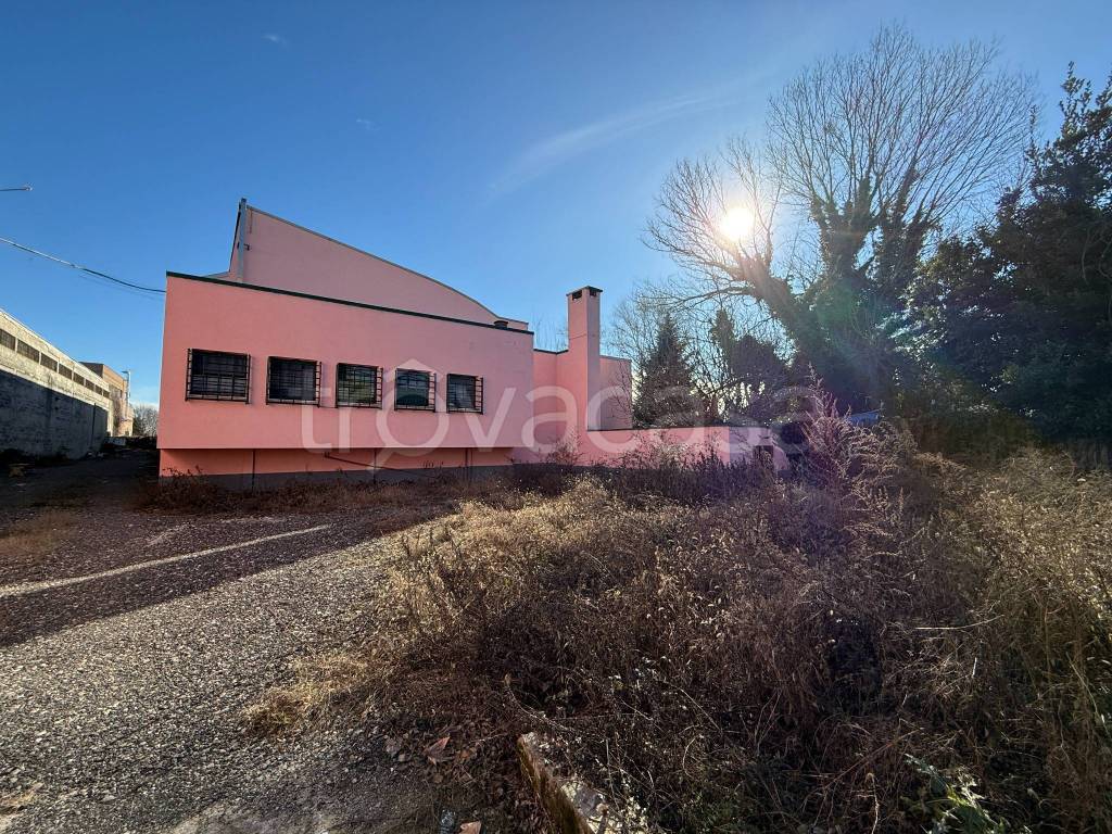 immagine annuncio 1 di 13