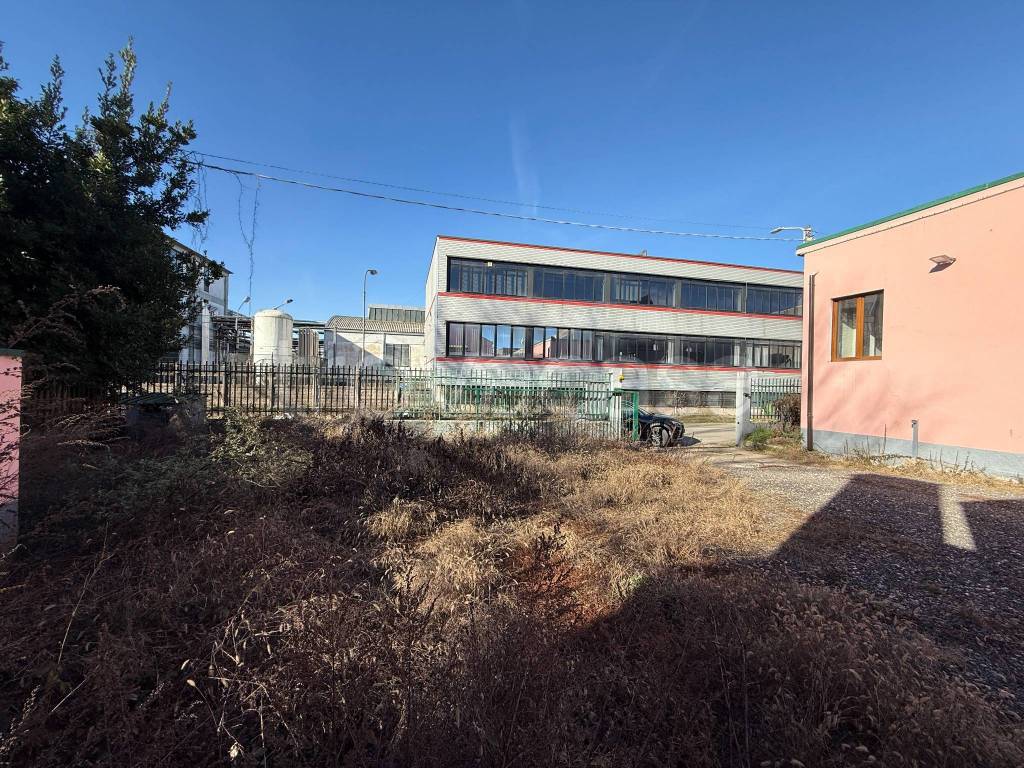 immagine annuncio 9 di 13