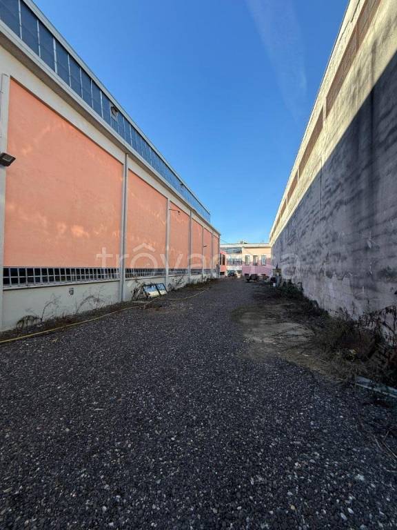 immagine annuncio 12 di 13