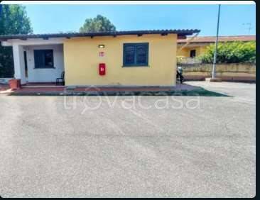 immagine annuncio 2 di 3