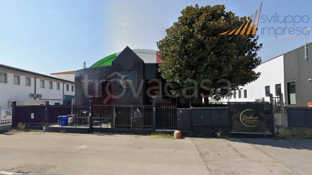 immagine annuncio 3 di 15