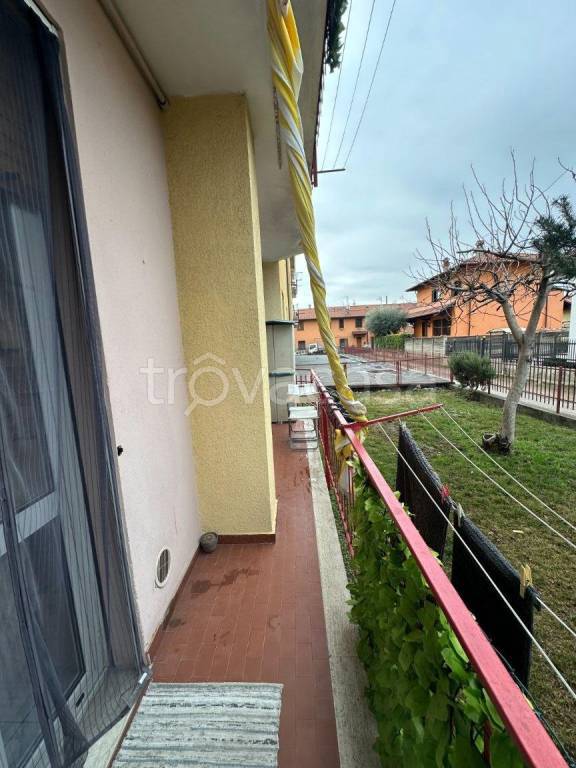 immagine annuncio 10 di 15