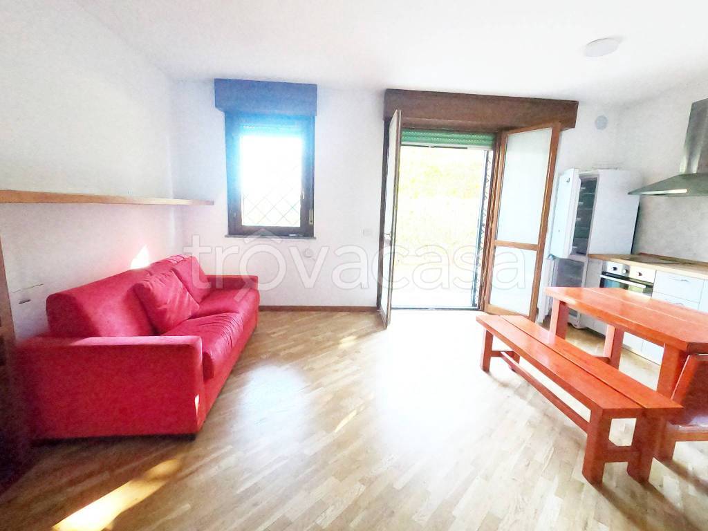 immagine annuncio 5 di 15