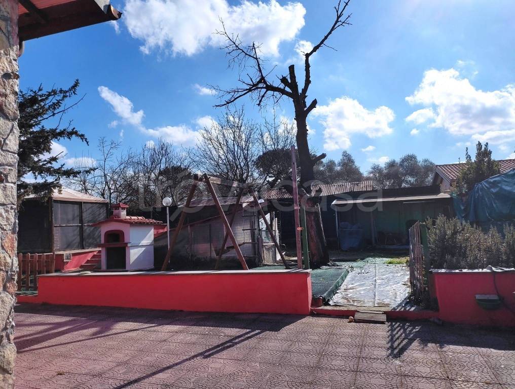 immagine annuncio 14 di 15