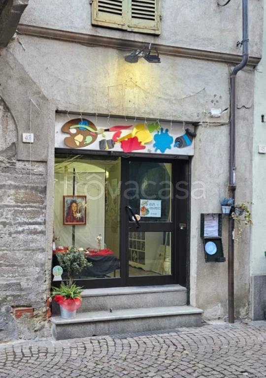 immagine annuncio 1 di 14