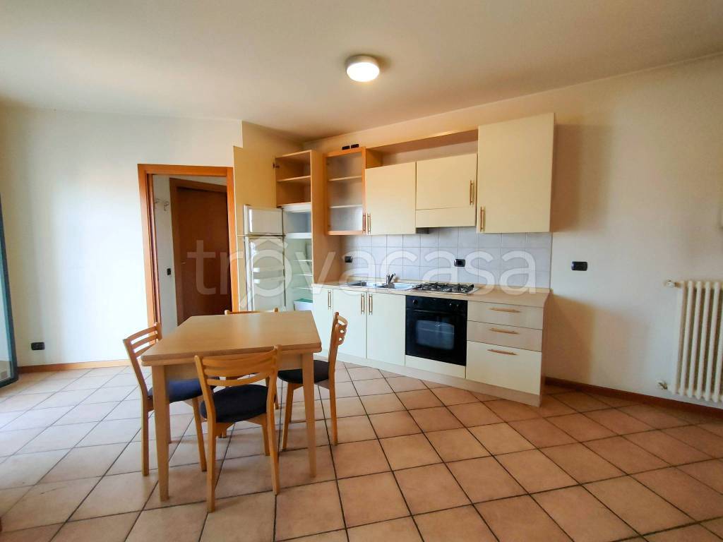 immagine annuncio 4 di 12