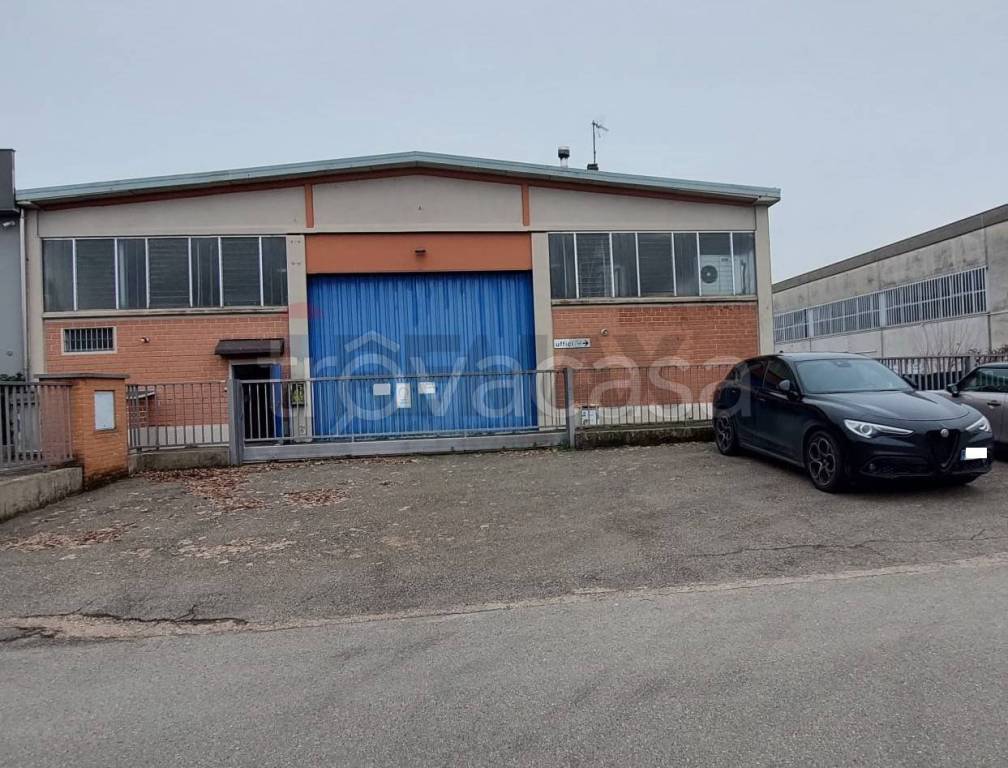 immagine annuncio 1 di 15