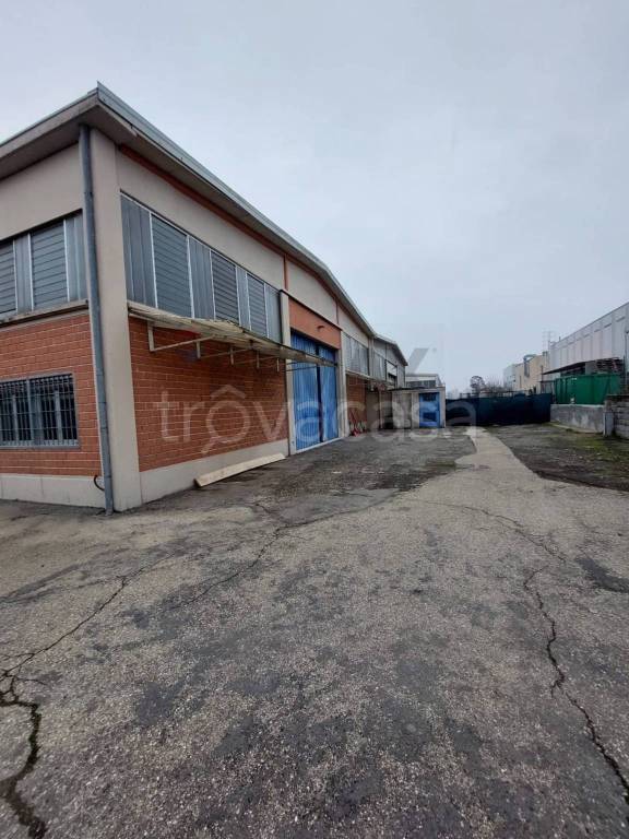 immagine annuncio 13 di 15