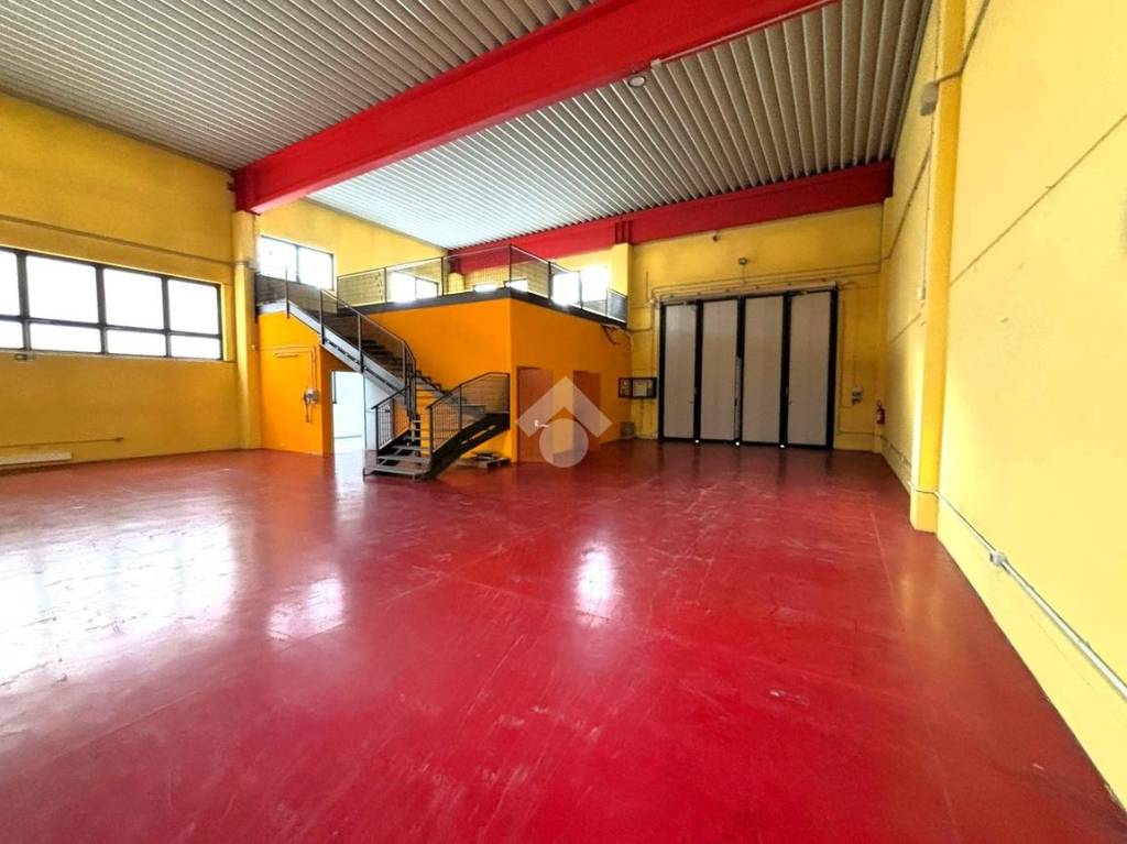 immagine annuncio 1 di 10