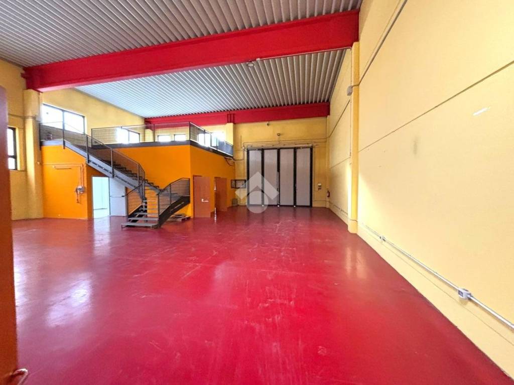 immagine annuncio 2 di 10