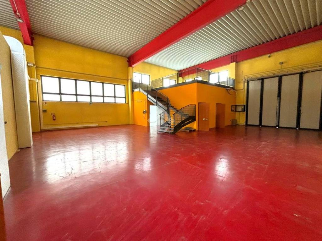 immagine annuncio 6 di 10