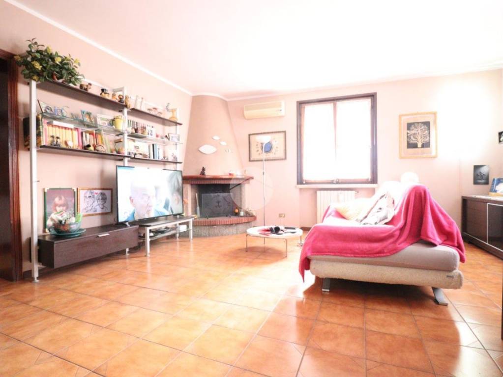 immagine annuncio 6 di 15