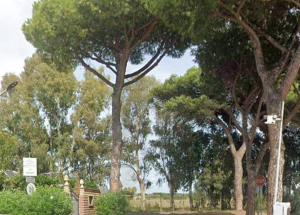 immagine annuncio 2 di 11