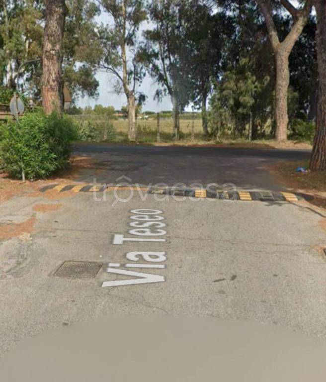 immagine annuncio 5 di 11