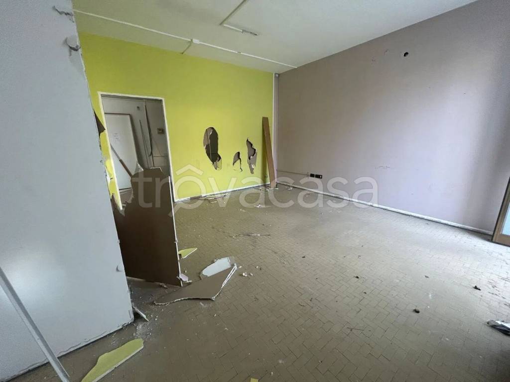 immagine annuncio 6 di 8