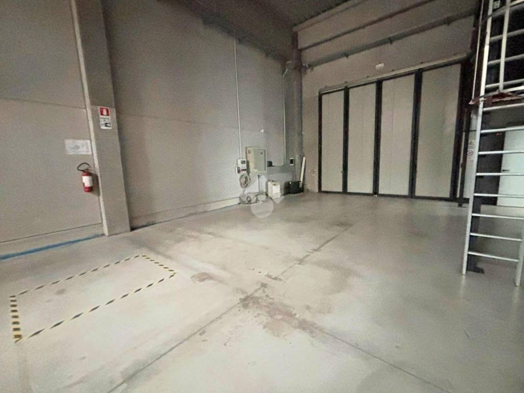 immagine annuncio 2 di 11