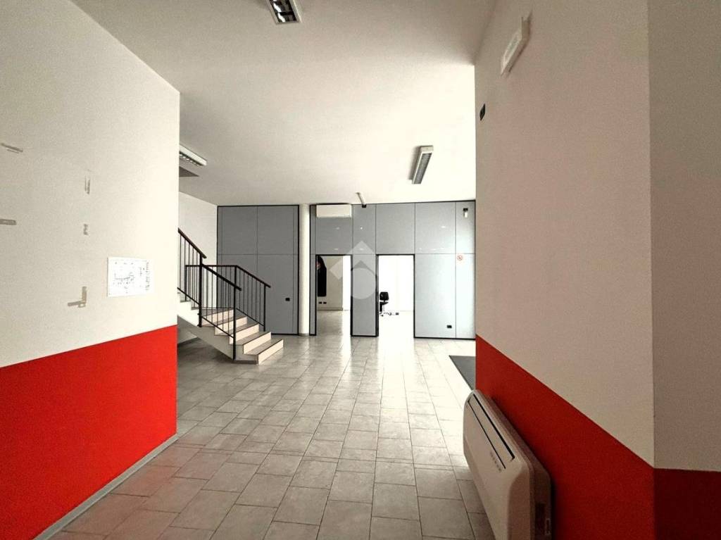 immagine annuncio 7 di 11