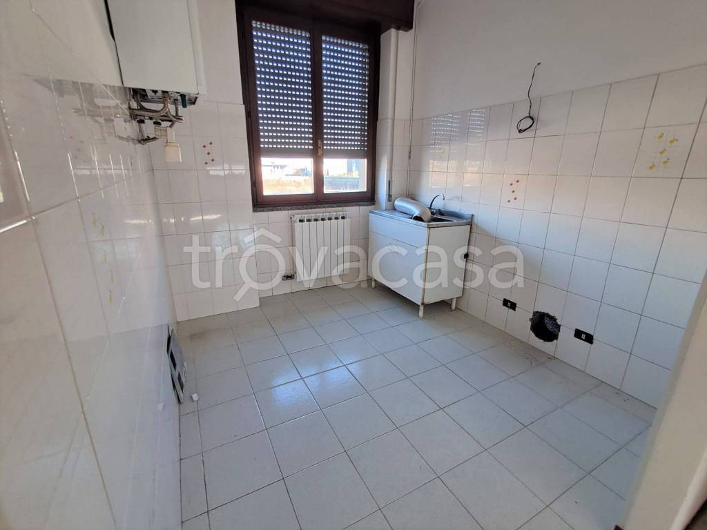 immagine annuncio 3 di 12