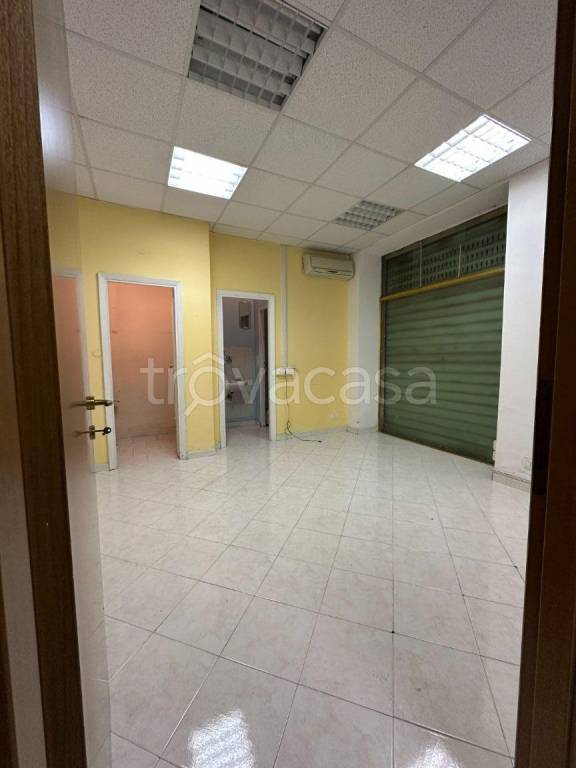 immagine annuncio 2 di 7