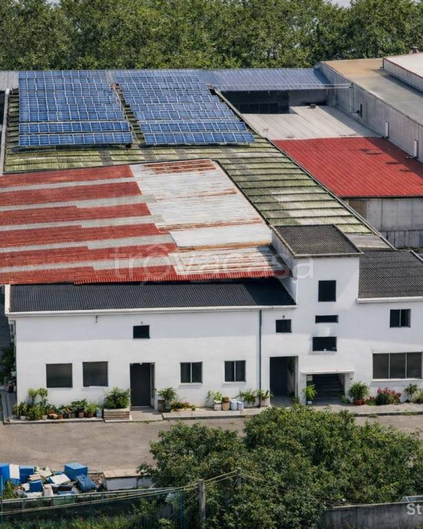 immagine annuncio 1 di 6