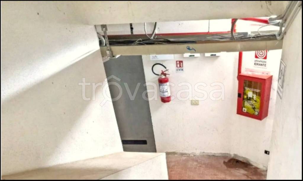 immagine annuncio 4 di 12