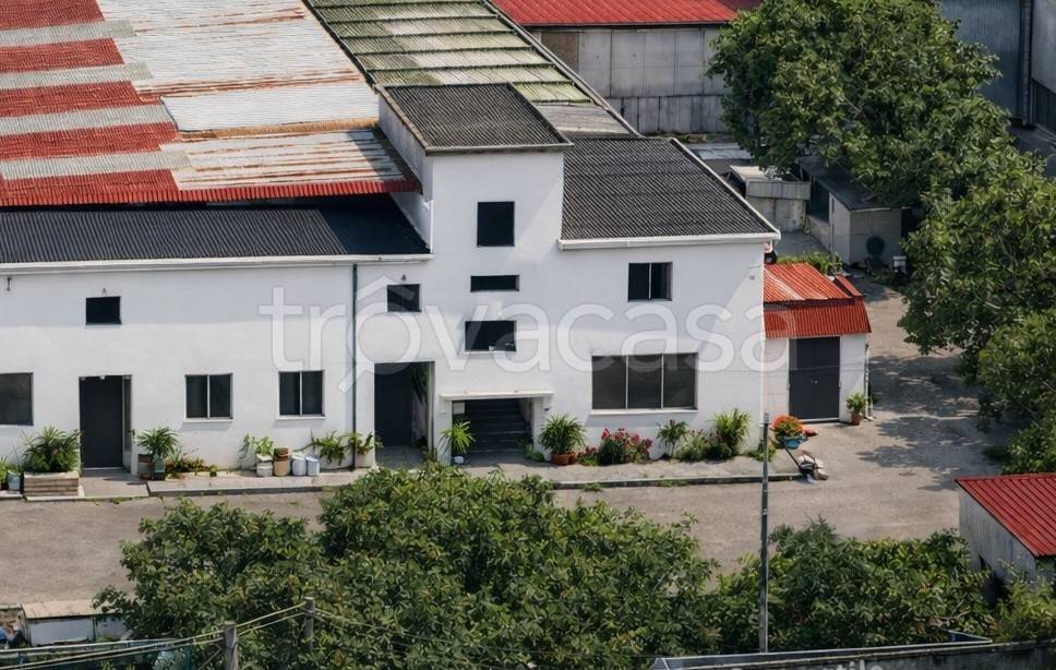 immagine annuncio 2 di 6