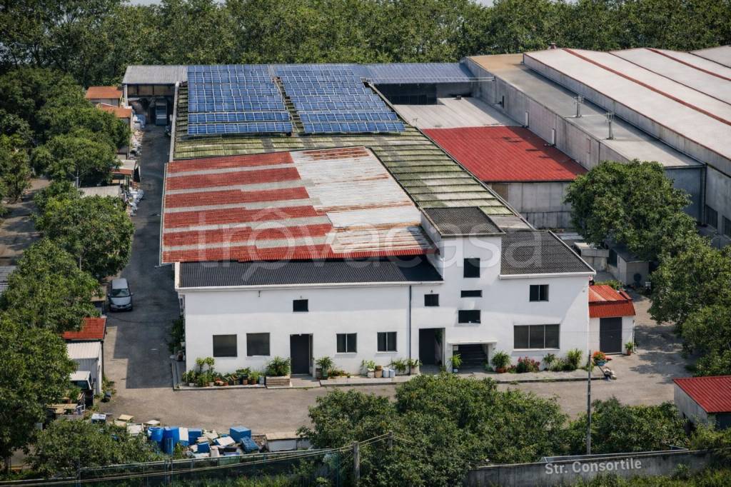 immagine annuncio 4 di 6