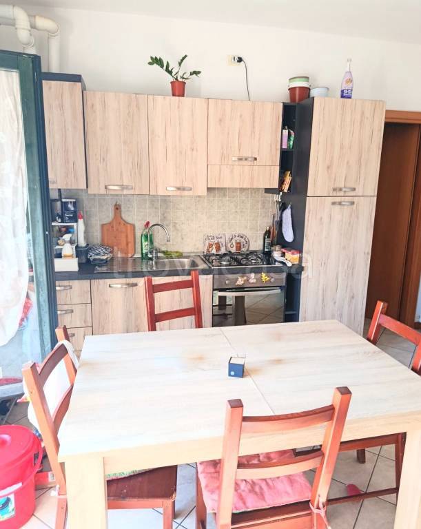 immagine annuncio 12 di 14