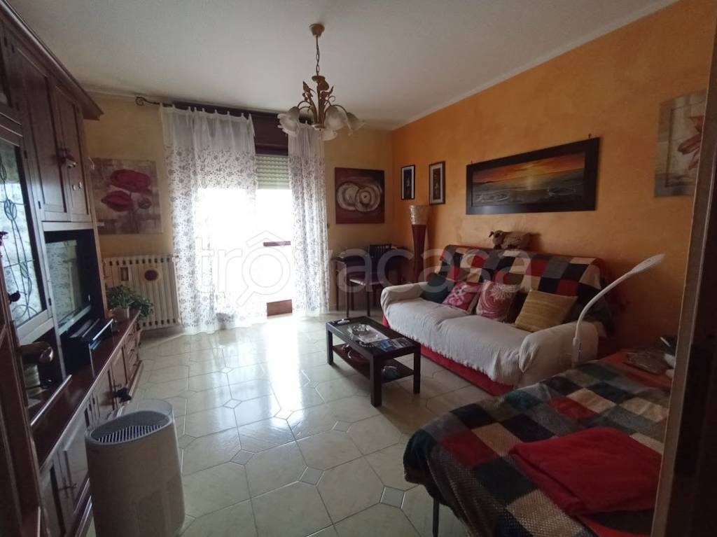 immagine annuncio 5 di 14