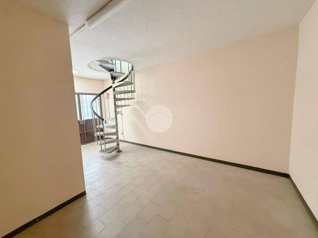 immagine annuncio 10 di 14