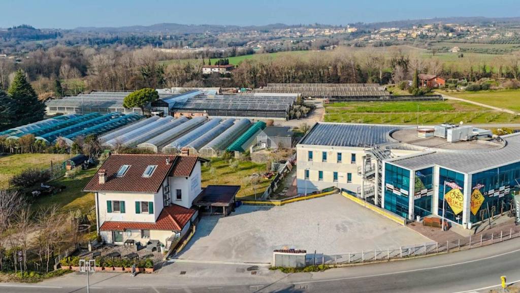 immagine annuncio 4 di 14