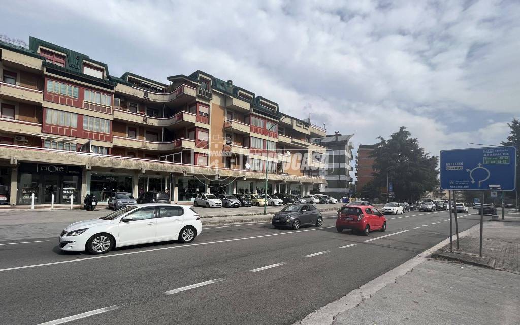 immagine annuncio 5 di 7