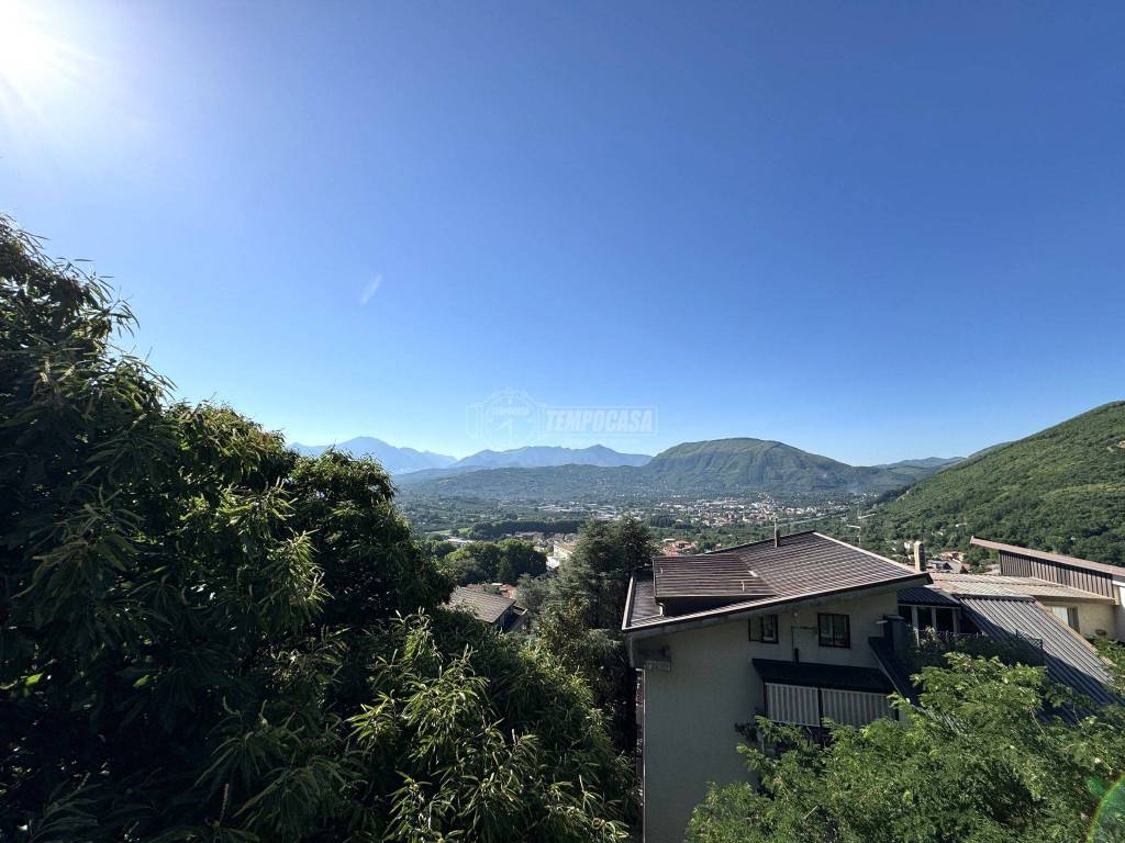 immagine annuncio 12 di 14