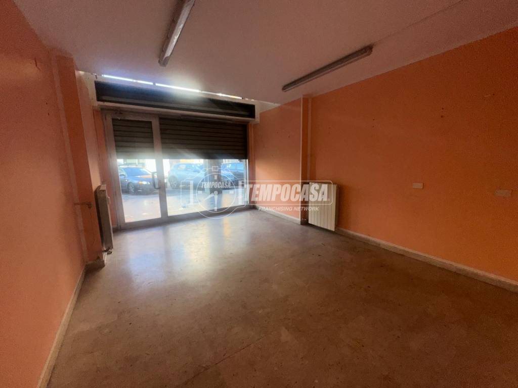 immagine annuncio 4 di 14