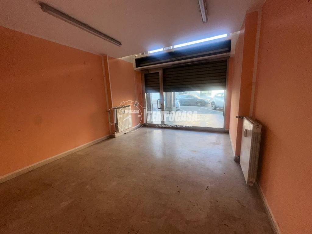 immagine annuncio 5 di 14