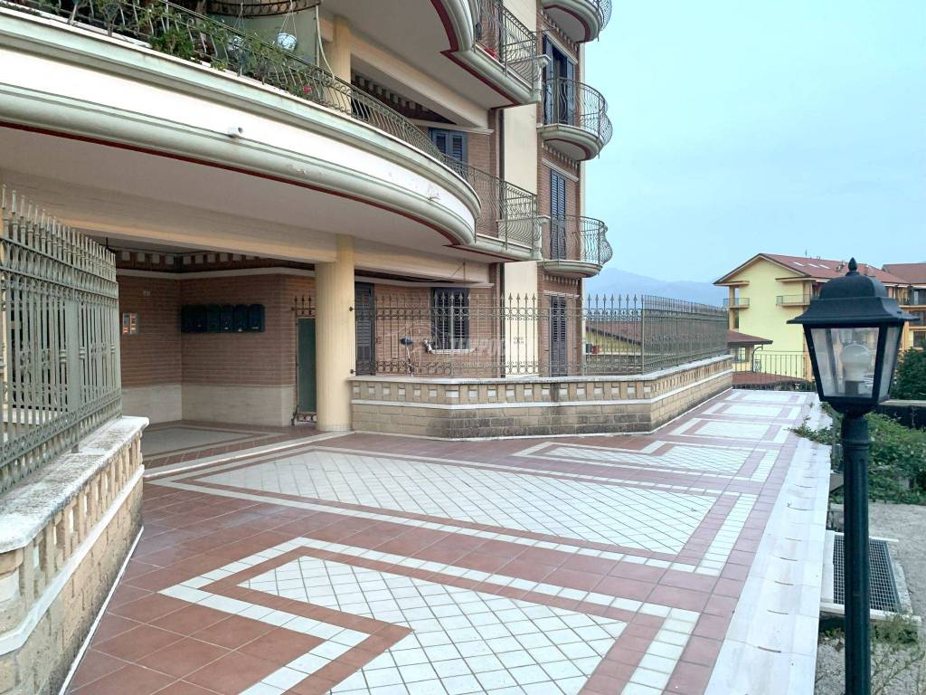 immagine annuncio 5 di 14