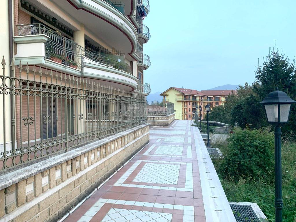 immagine annuncio 12 di 14