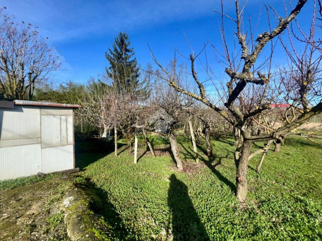 immagine annuncio 5 di 15