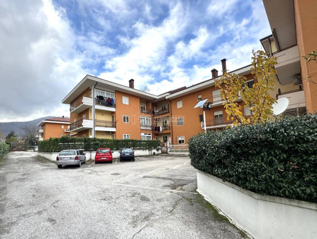 immagine annuncio 5 di 9