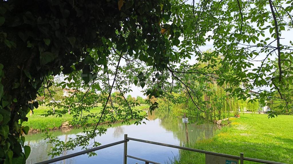 immagine annuncio 2 di 13