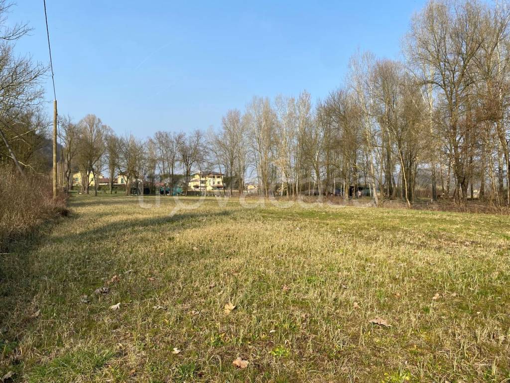 immagine annuncio 3 di 12